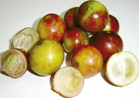 Camu Camu